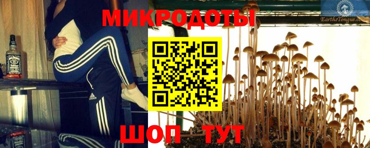 Копейск  Галлюциногенные грибы Cubensis  Вход с VPN 