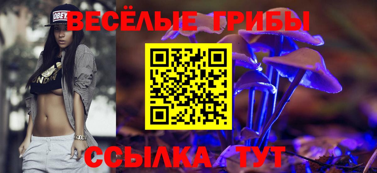 Псилоцибиновые грибы Cubensis Копейск